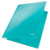 024025600_39820051_01_v21.png
