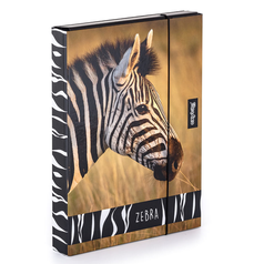 školní box na sešity A4 Jumbo, Zebra