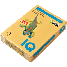 IQ COLOR paper A4 160g 250 ls GO22 Gold