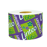 Toaletní papír LINTEO Economy 2vr. recyklovaný 66m