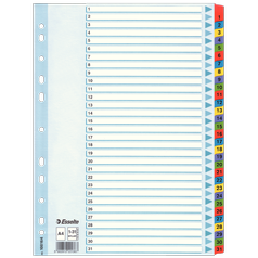 Rozlišovač zesílený Esselte Mylar A4 100164 1-31 barevný