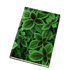 100011700a.png