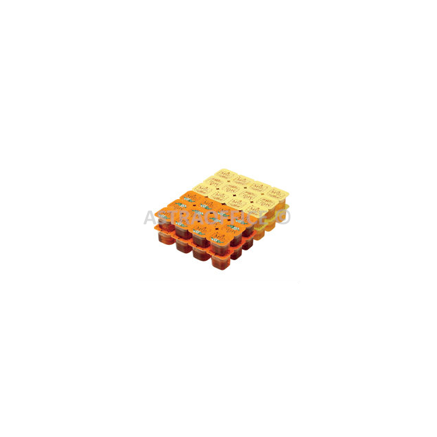 311202100.png