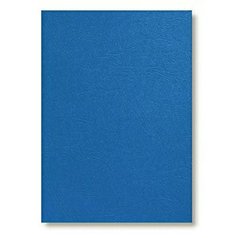 IBISTON A4 imitace kůže modrá delta zadní